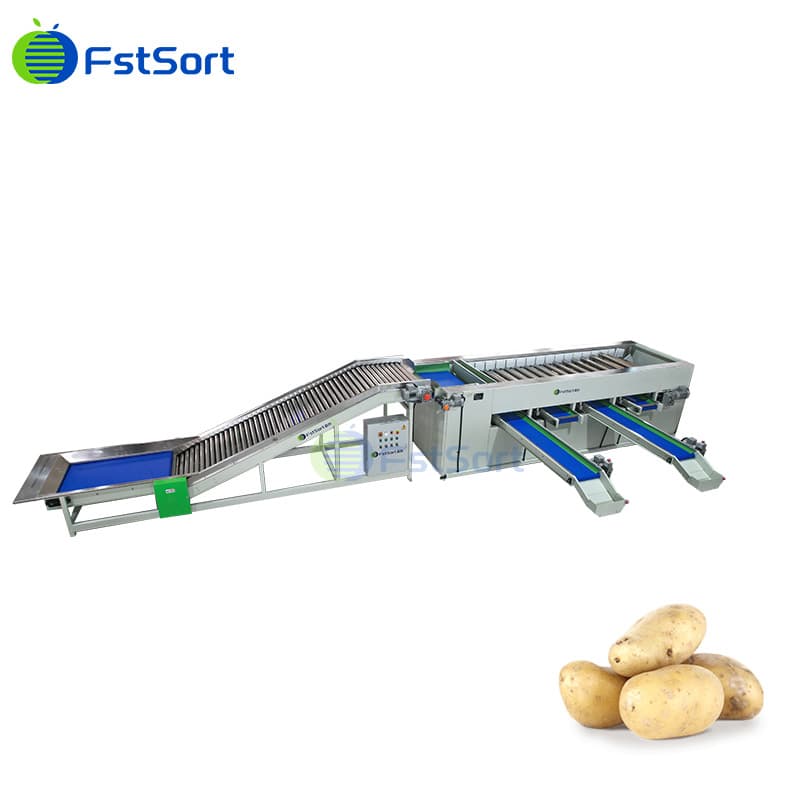 images/1772073424901potato grader.jpg